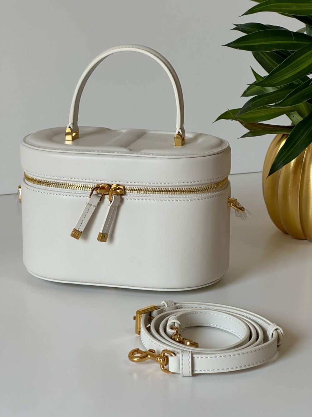 dior vanity case