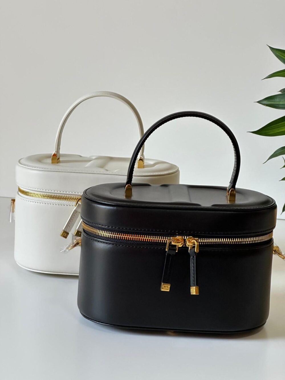 dior vanity case
