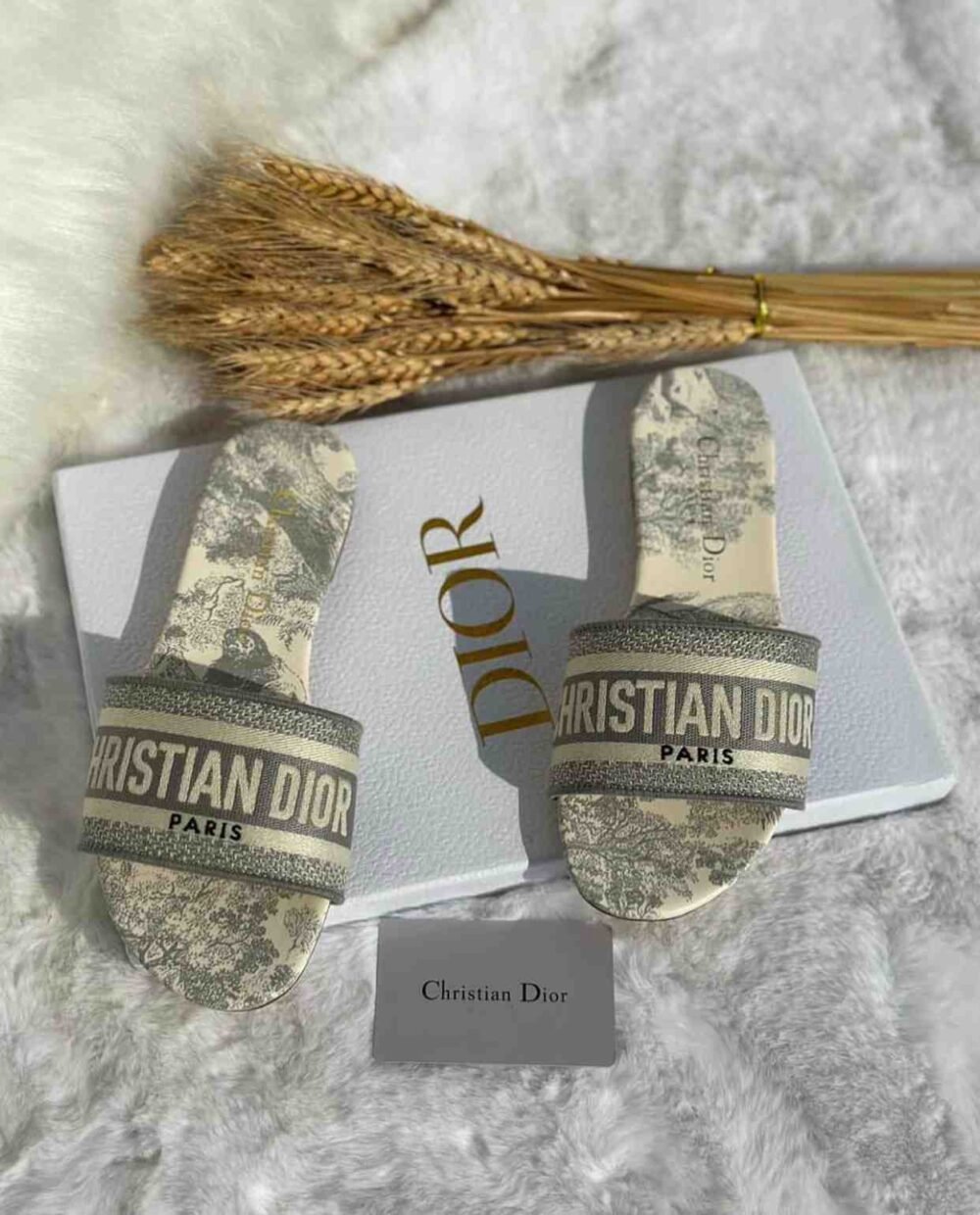 christian dior dway slides