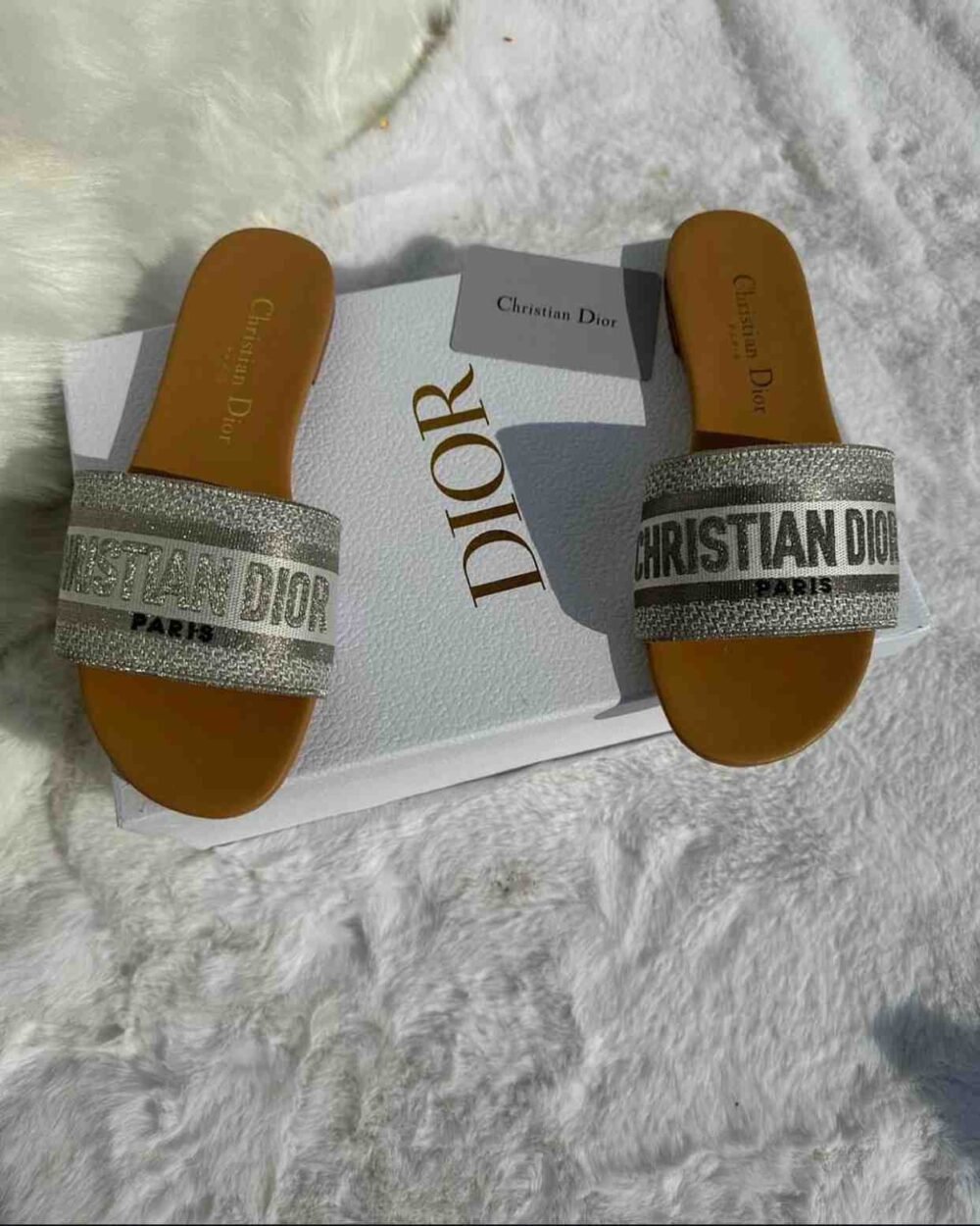 christian dior dway slides
