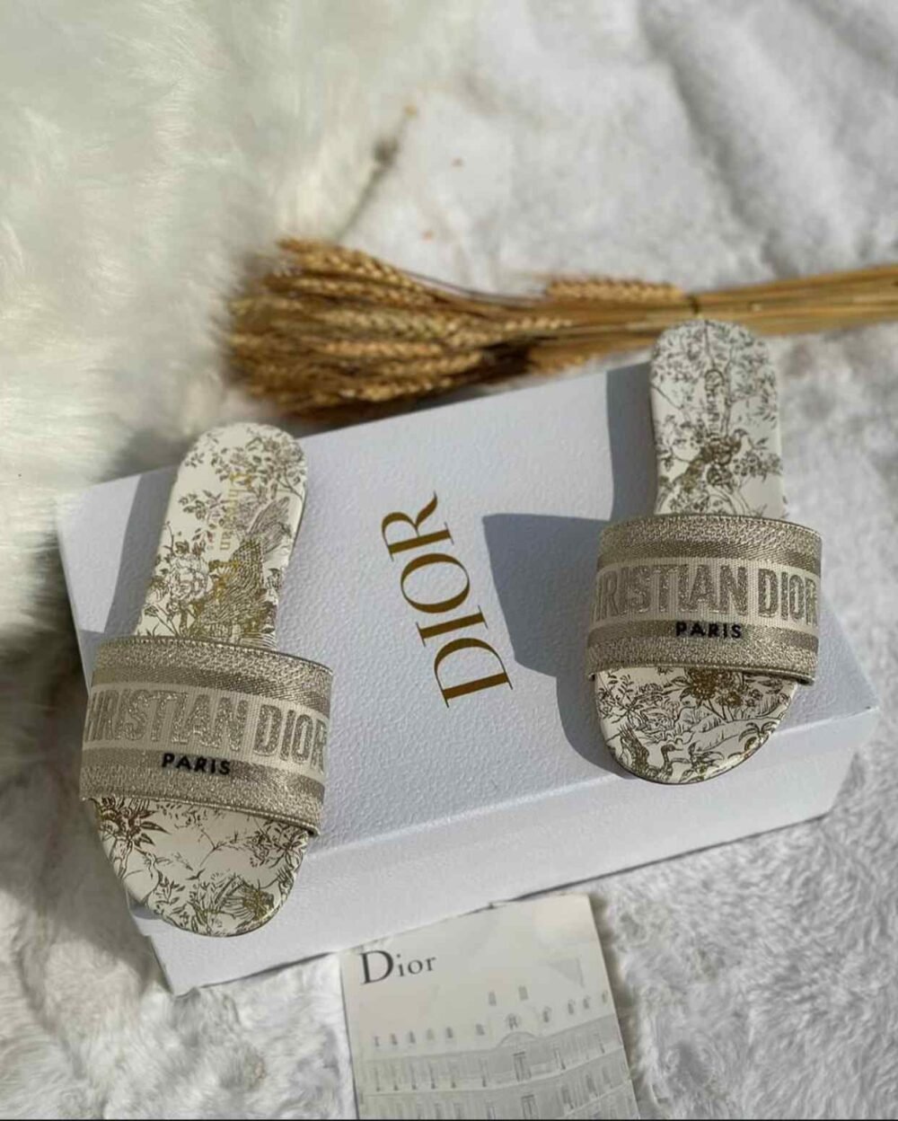christian dior dway slides