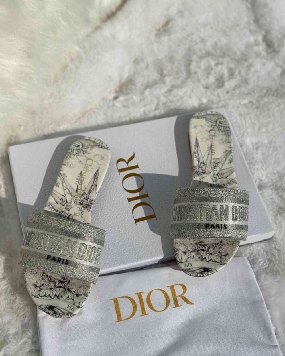 christian dior dway slides