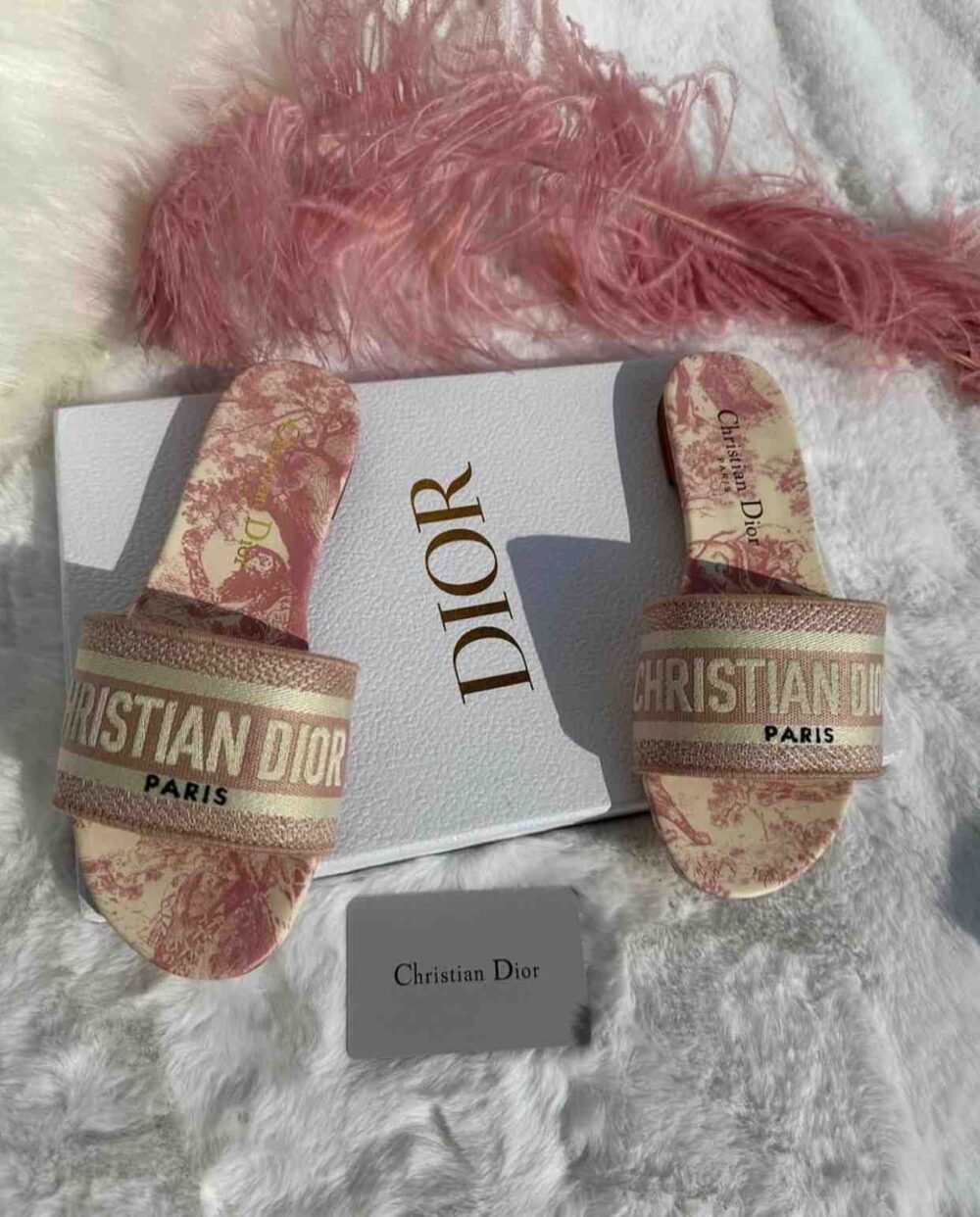 christian dior dway slides