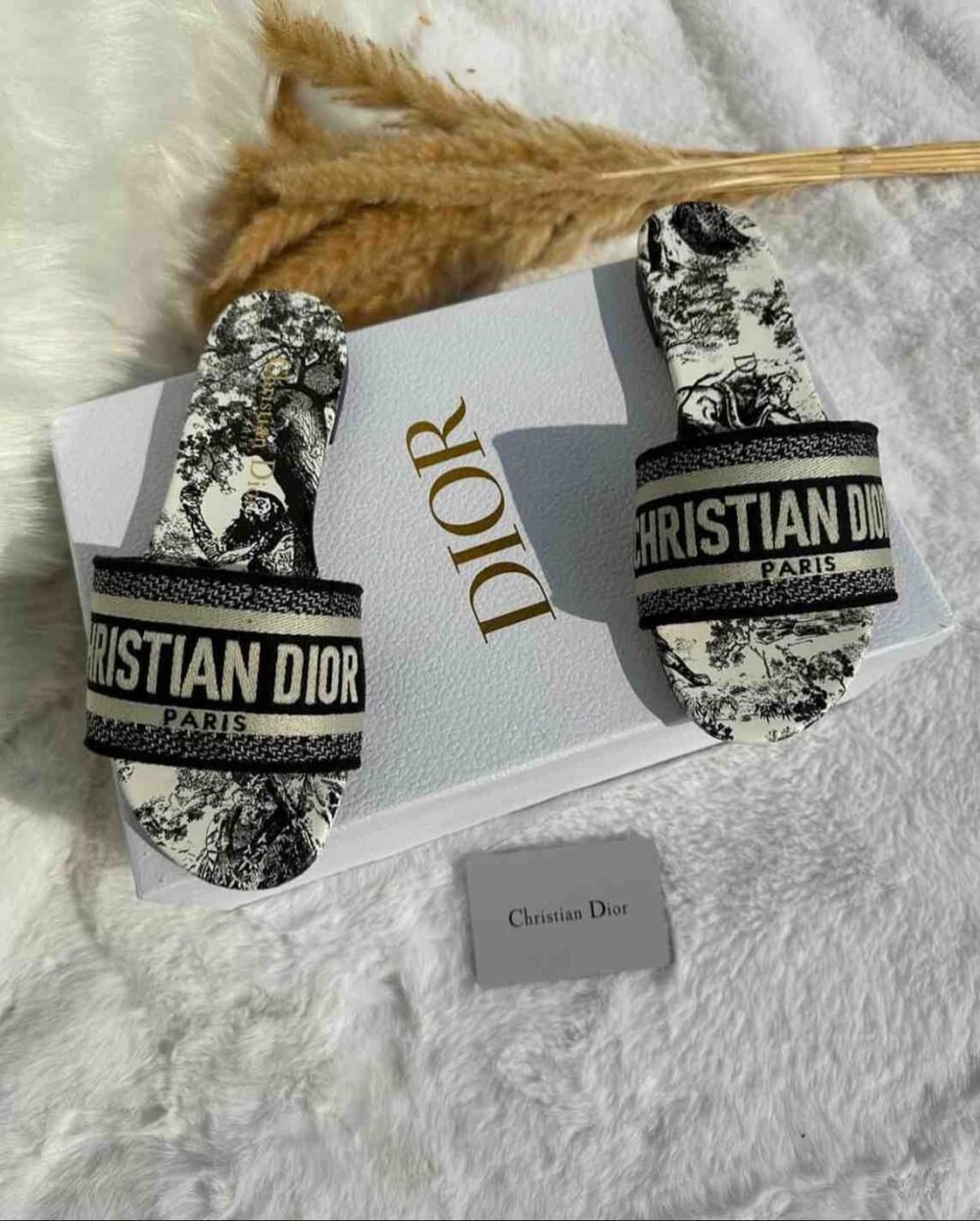 christian dior dway slides