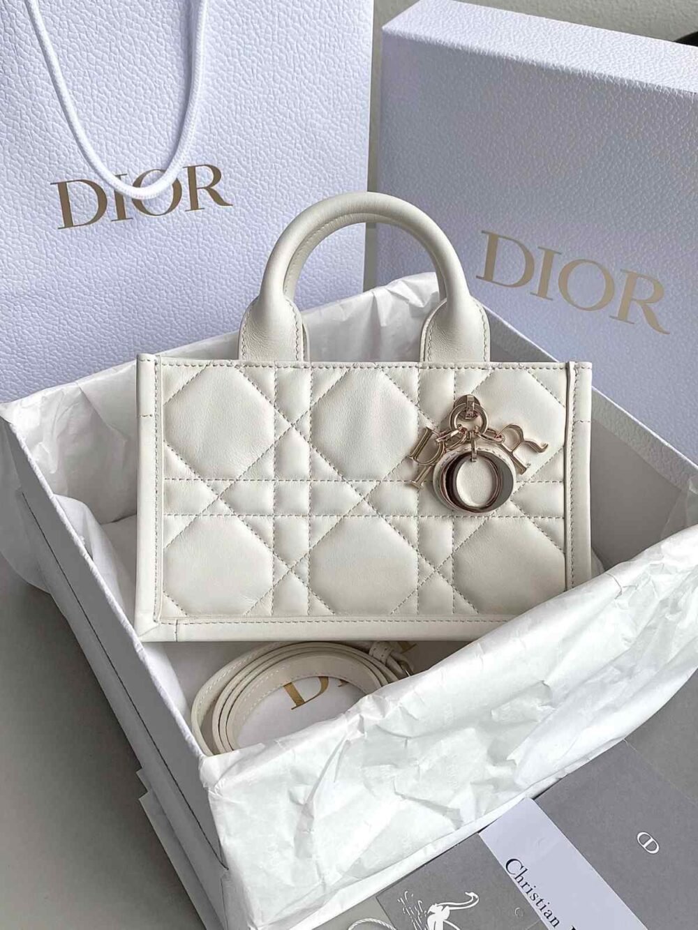 dior mini book tote bag