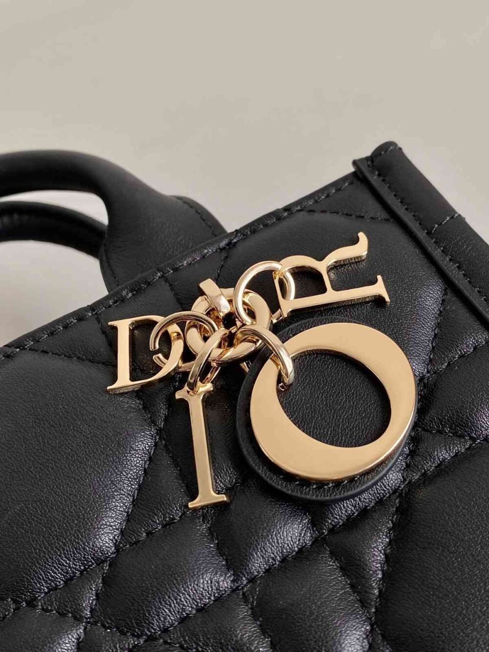 dior mini book tote bag