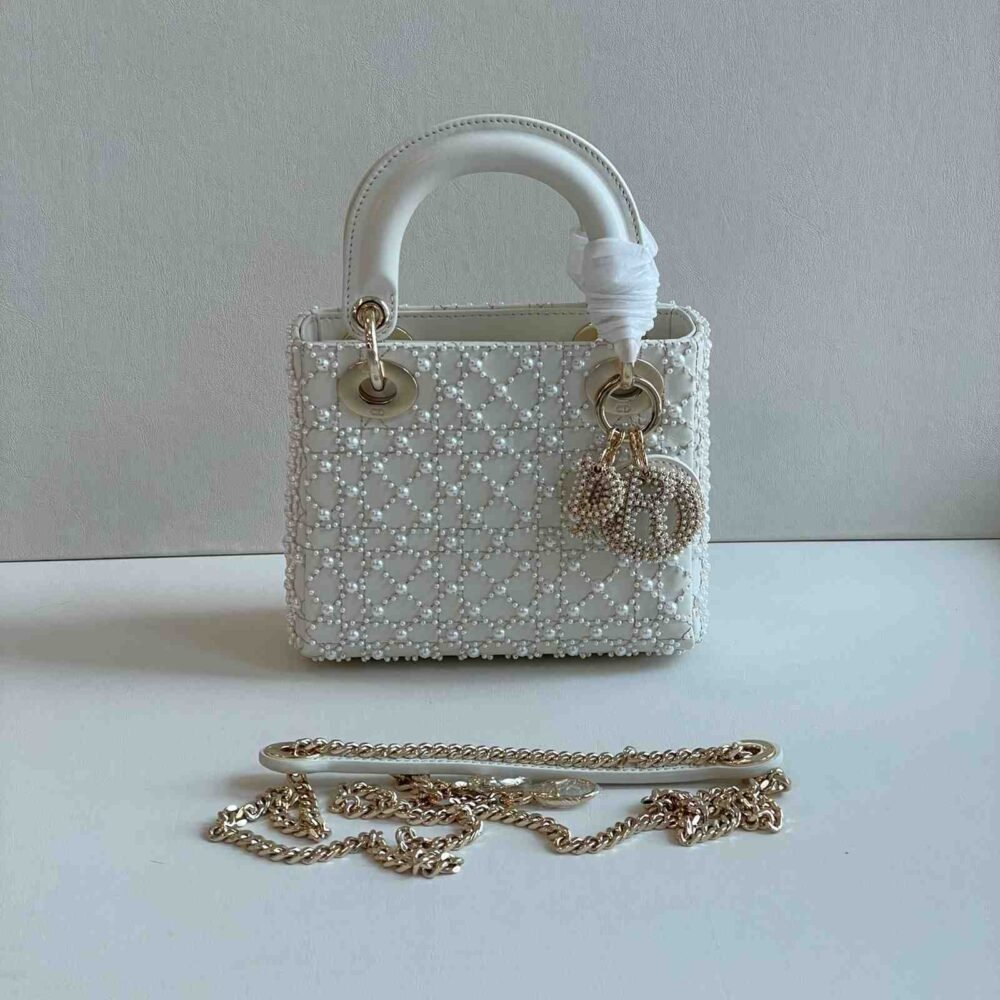 dior embroidered bag​