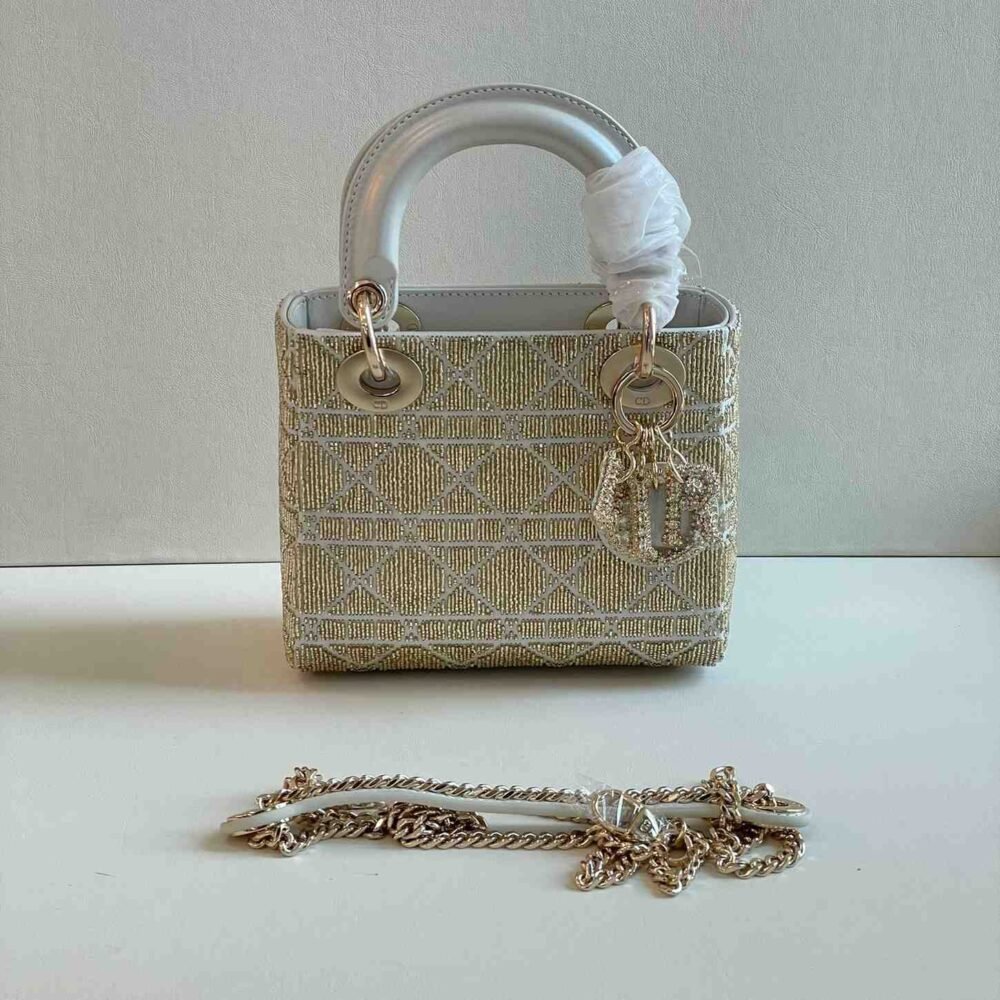 dior embroidered bag​