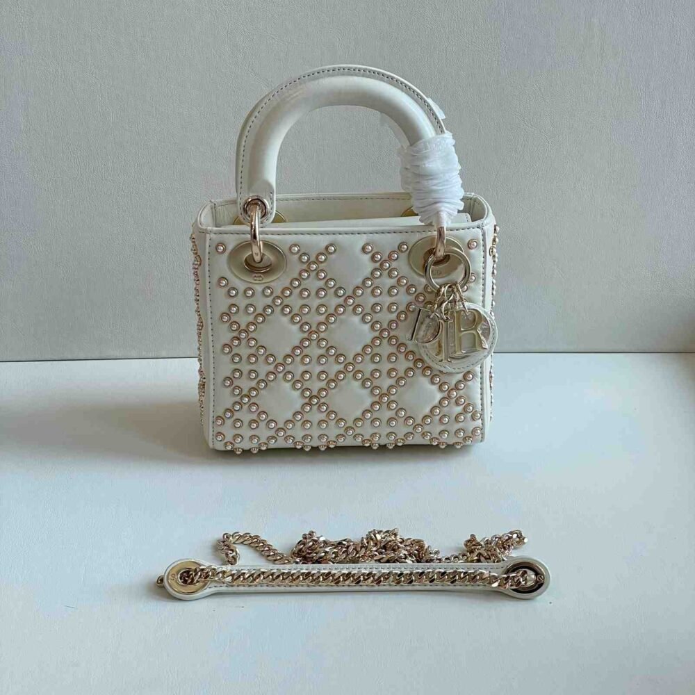 dior embroidered bag​