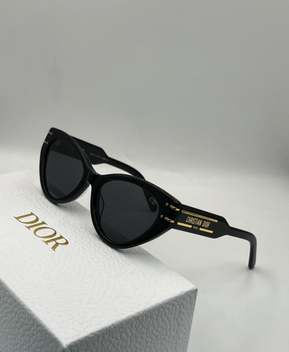 dior signature b71 sunglasses​ black