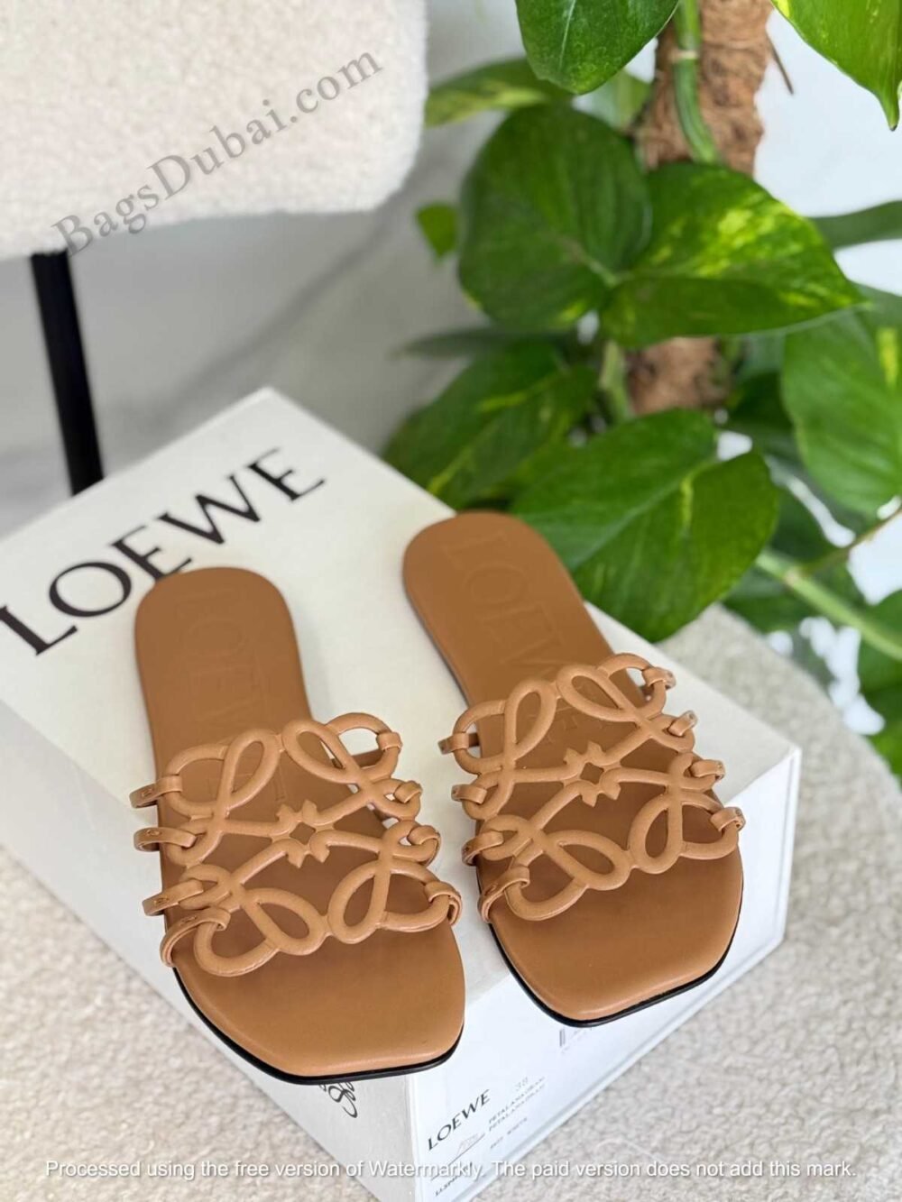 Loewe Sandals Petal Anagram Brown