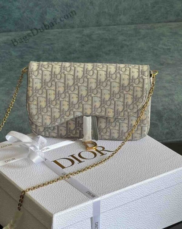 Dior Saddle Wallet With Chain Beige